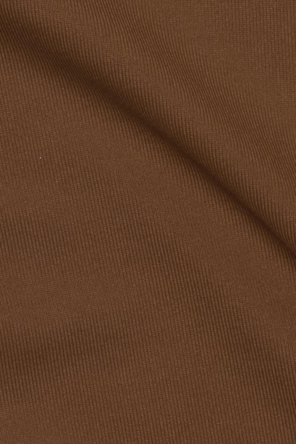 Ladies Capella High Waist Short-Bloch Online
